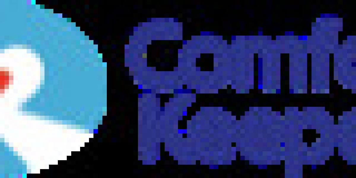 Comfort Keepers Tampa – Compassionate Care That Feels Like Family