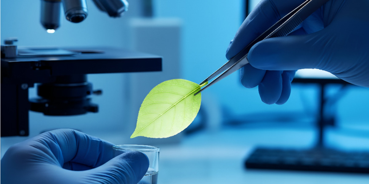 Comprehensive Guide to ISO 17025 Training for Laboratory Excellence