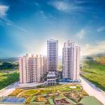 Reeltor 74 74 Profile Picture