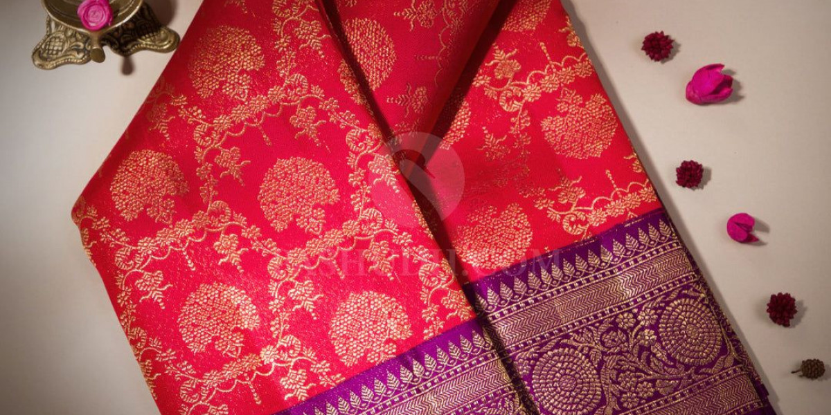 The Costliest Sari in the World: A Combination of Luxury and Artistic Genius