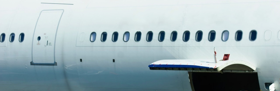 Amelia Lily Cover Image