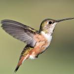 Solar power perth wa Profile Picture