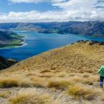 Alex John Profile Picture