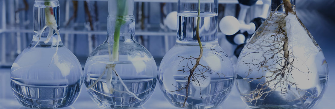 Botanic Healthcare Cover Image