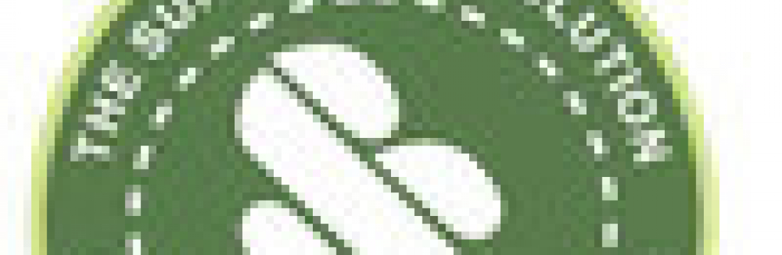 thesupplement solution Cover Image