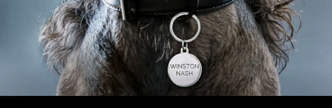 Winston Nash LLC Cover Image