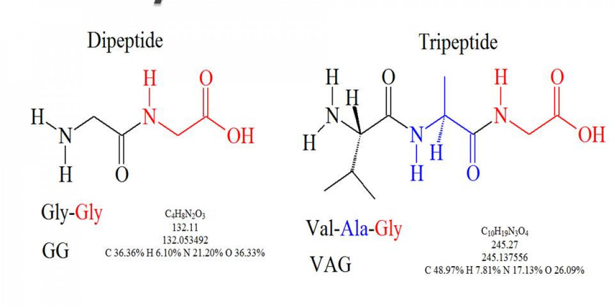 How Does a Peptides Exporter Supply Global Markets