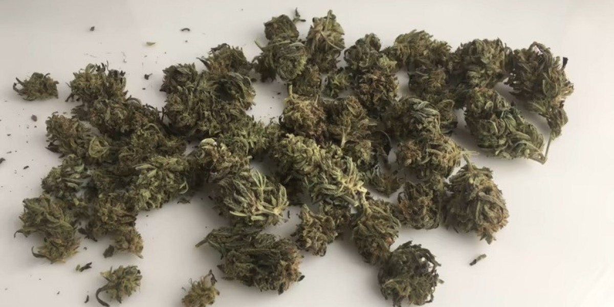 Strengthening Hemp Operations Through Smarter Procurement