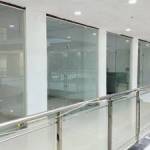 Reeltor Profile Picture