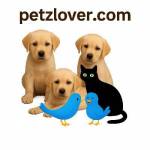 janani devi devi Profile Picture