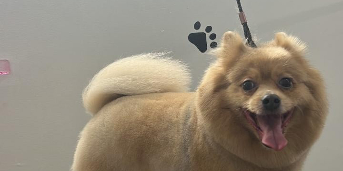 Dog Grooming Brooklyn NY for Happy Healthy Pets