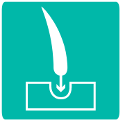 PTE Training Classes for Study Abroad Students - Forum Hair Transplant
