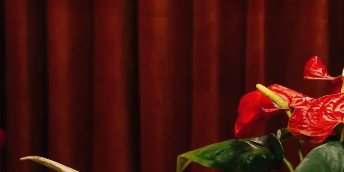 Drole De Monsieur Clean Design Clothing for City Fashion