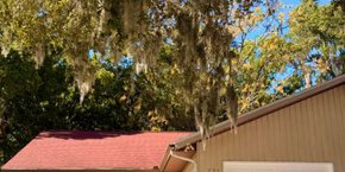 How does a property value estimator differ from a home appraisal?