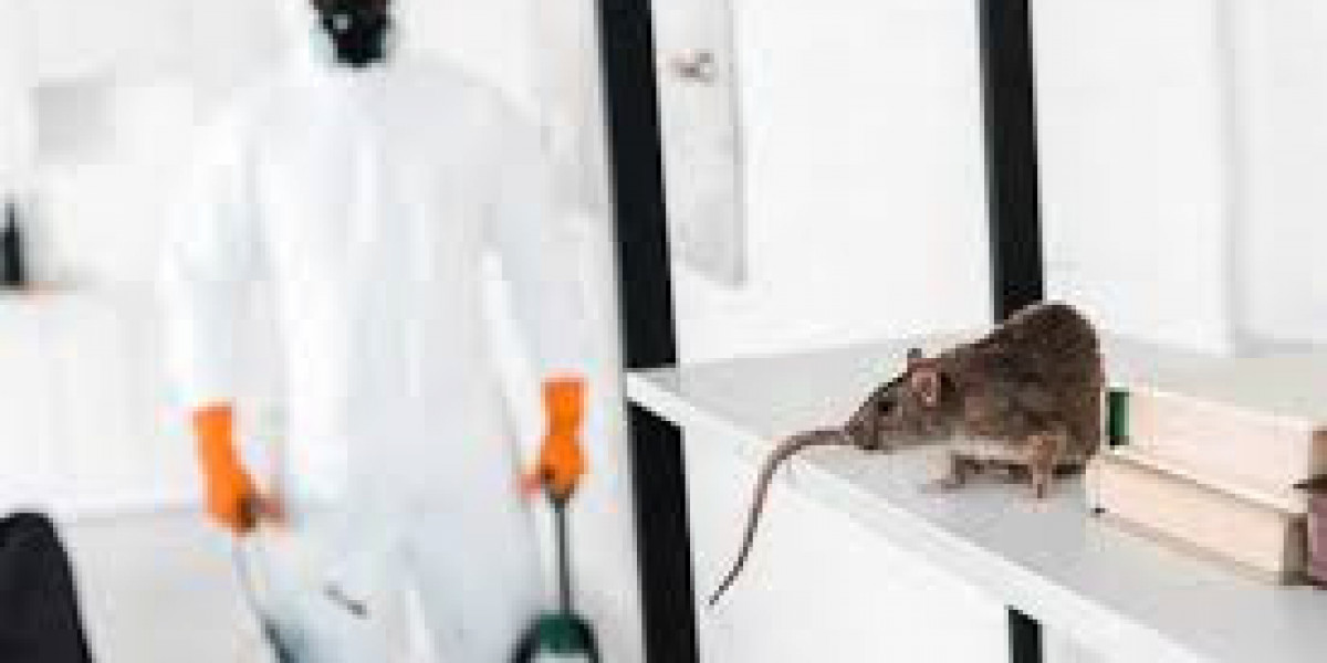 Rodent Control: Effective Strategies for Safe, Long-Term Prevention