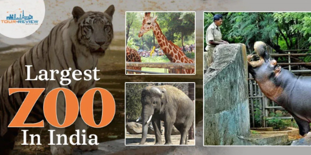 Exploring the Wonders of the Largest Zoo in India: A Complete Guide for Wildlife Lovers