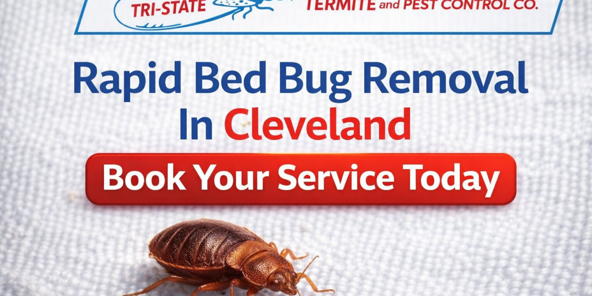 The Essential Guide to Finding a Bed Bug Exterminator in Cleveland