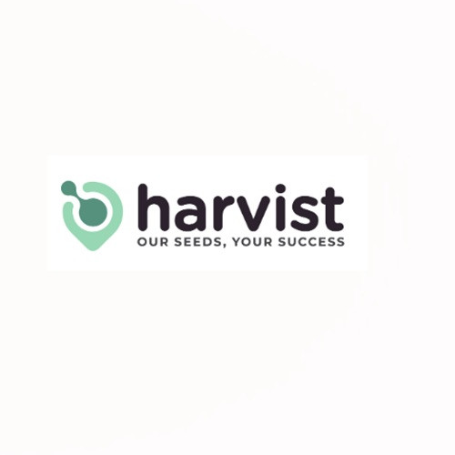 Harvist Profile Picture