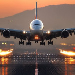 Flighys Official Profile Picture