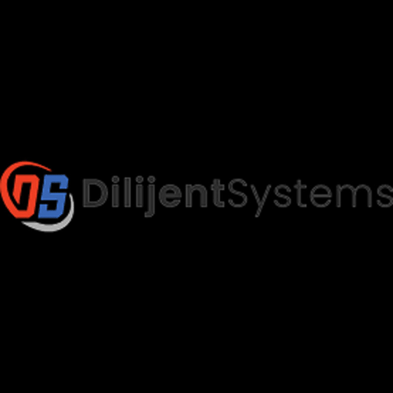 Dilijent Systems Profile Picture