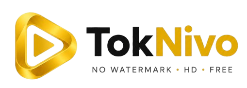 TikTok Video Downloader HD – Muat turun tanpa tera air | TokNivo